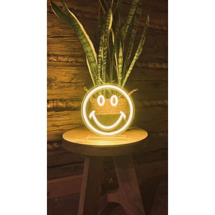 2Kids Toys - LED Neoninis stalas dekoracija LED/5W/USB šypsenėlė