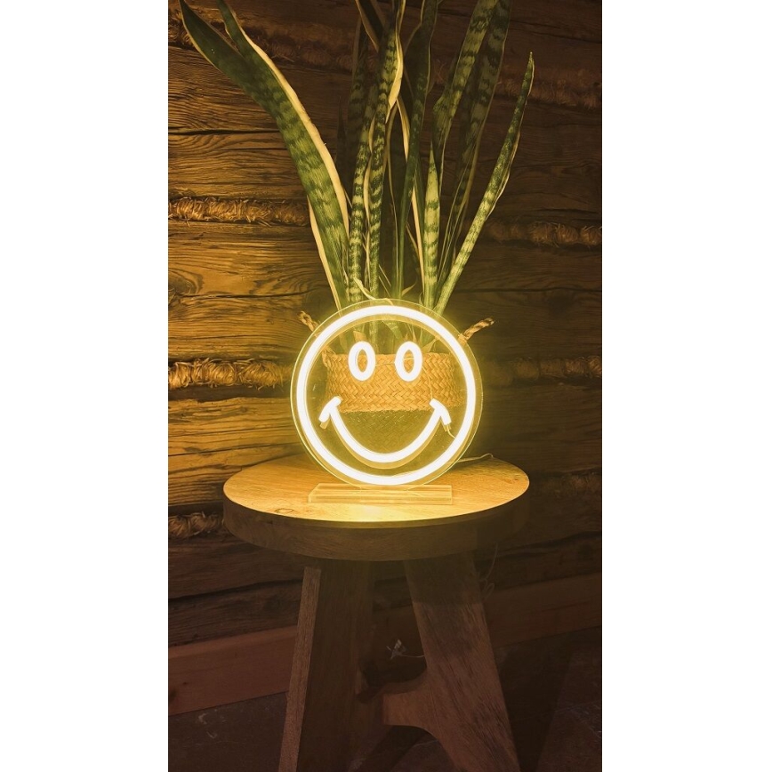2Kids Toys - LED Neoninis stalas dekoracija LED/5W/USB šypsenėlė