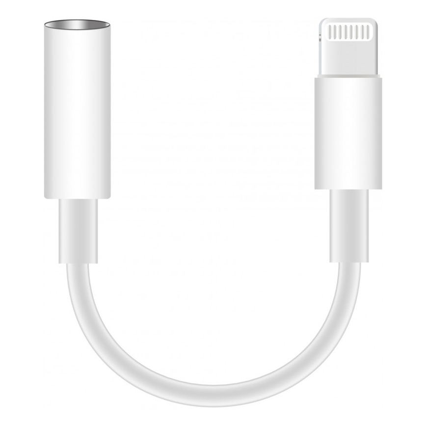 Adapteris Lightning AUX