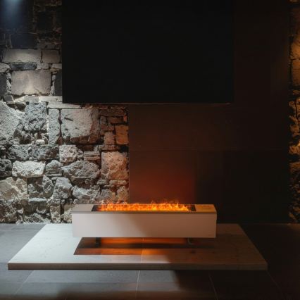 AENO - Išmanusis elektrinis šildytuvas/konvektorius 1000/2000W balta