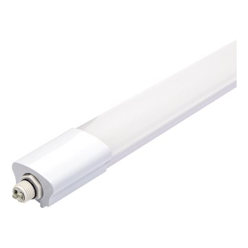 Aigostar - Didelio našumo LED šviestuvas LED/18W/230V 4000K 60 cm IP65