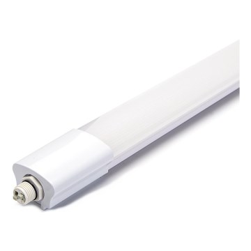 Aigostar - Didelio našumo LED šviestuvas LED/45W/230V 4000K 150 cm IP65