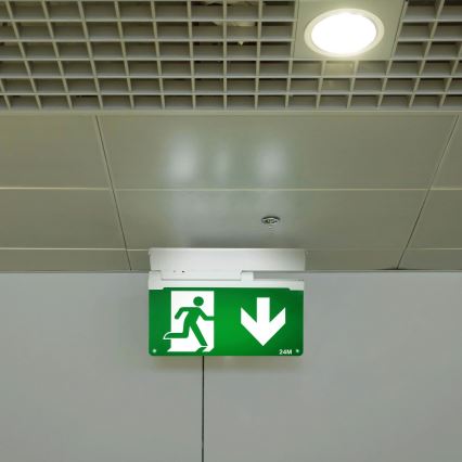 Aigostar - LED avarinė lemputė EMERGENCY EXIT LED/3,6W/230V 6500K 500mAh