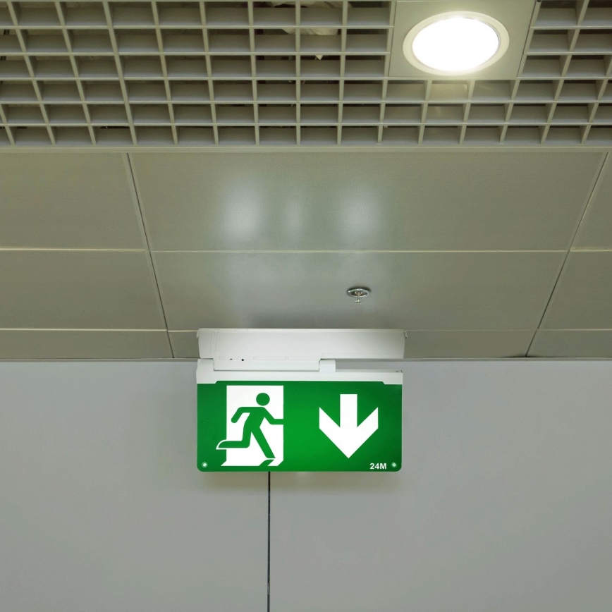 Aigostar - LED avarinė lemputė EMERGENCY EXIT LED/3,6W/230V 6500K 500mAh