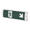 Aigostar - LED avarinė lemputė EMERGENCY EXIT LED/4W/230V IP65 6500K 600mAh