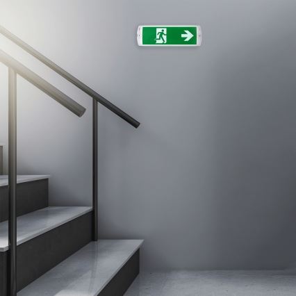 Aigostar - LED avarinė lemputė EMERGENCY EXIT LED/4W/230V IP65 6500K 600mAh