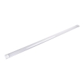 Aigostar - LED fluorescencinis šviestuvas LED/50W/230V 6500K 150 cm