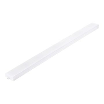 Aigostar - LED fluorescencinis šviestuvas MESH LED/40W/230V 6500K