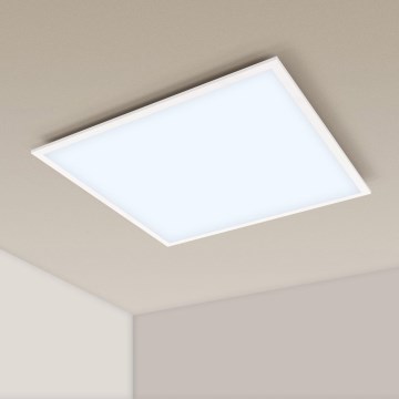 Aigostar - LED įleidžiama lubų panelė LED/40W/230V 6500K 60x60cm