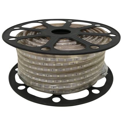 Aigostar - LED juosta 50m LED/300W/230V IP65 žalia