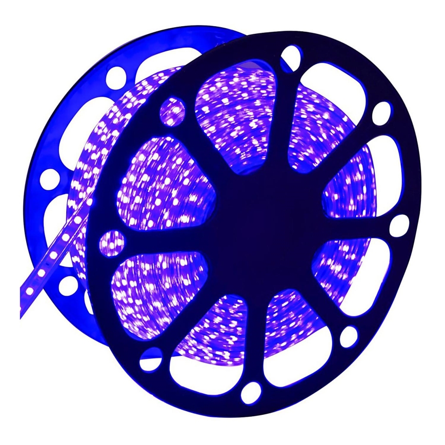 Aigostar - LED juosta laukui 50m LED/300W/230V mėlyna IP65