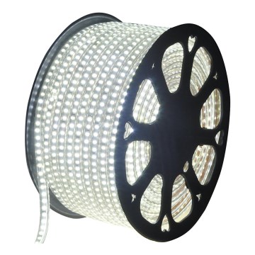 Aigostar - LED juosta laukui 50m LED/350W/230V 6500K IP65