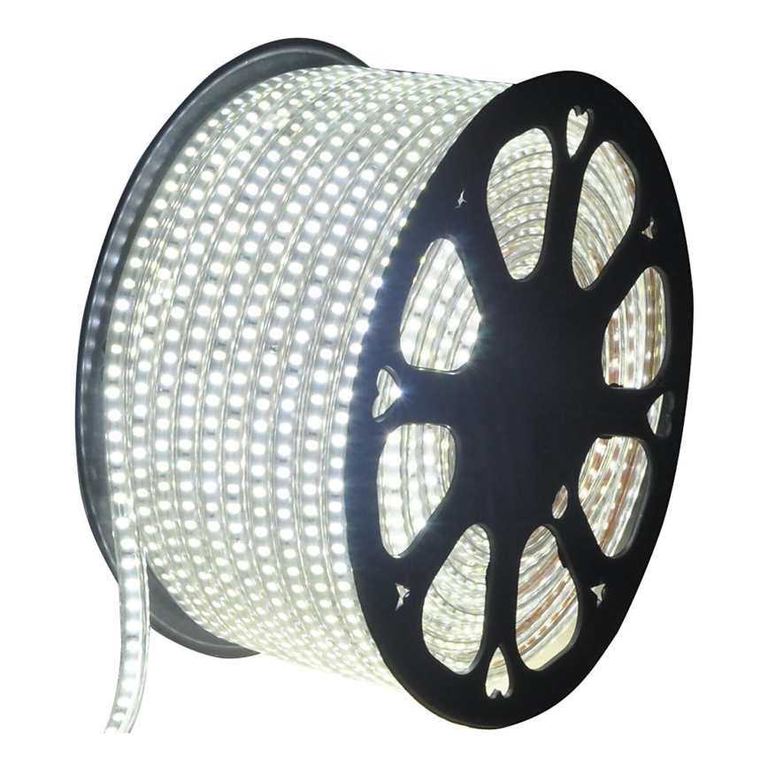 Aigostar - LED juosta laukui 50m LED/350W/230V 6500K IP65