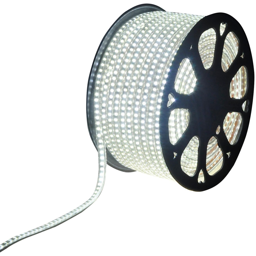 Aigostar - LED juosta laukui 50m LED/400W/230V 6500K IP65