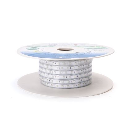 Aigostar - LED juosta LED/350W/230V 50m žalia IP65