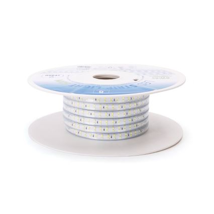 Aigostar - LED juosta LED/400W/230V 50m 6500K IP65