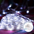 Aigostar - LED Lauko Kalėdinė girlianda 100xLED/8 funkcijos 10,3m IP44 šalta balta