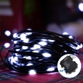 Aigostar - LED Lauko Kalėdinė girlianda 100xLED/8 funkcijos 10,3m IP44 šalta balta