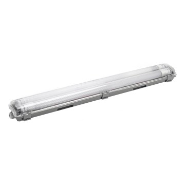 Aigostar - LED liuminescencinis techninis šviestuvas 2xG13/9W/230V 4000K 66,6 cm IP65