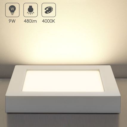 Aigostar - LED lubinis paviršinis šviestuvas LED/9W/230V 4000K 12,2x12,2 cm baltas