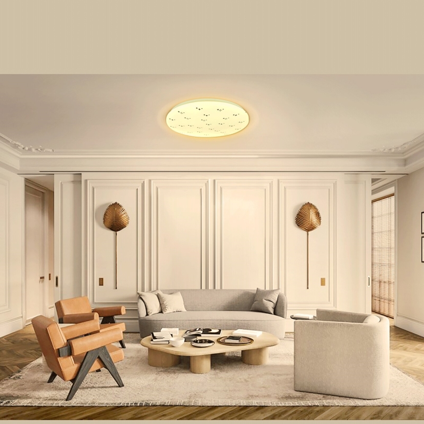 Aigostar - LED lubinis šviestuvas LED/12W/230V 3000K