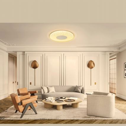 Aigostar - LED lubinis šviestuvas LED/12W/230V 3000K