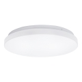 Aigostar - LED lubinis šviestuvas LED/24W/230V 3000K