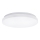 Aigostar - LED lubinis šviestuvas LED/24W/230V 3000K