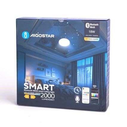 Aigostar - LED pritemdomas lubinis vonios šviestuvas MESH Išmanus LED/18W/230V 3000-65000K IP44 + nuotolinio valdymo pultas