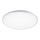 Aigostar - LED lubinis vonios šviestuvas LED/24W/230V 6500K diametras 40 cm IP44
