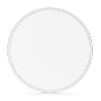Aigostar - LED lubinis vonios šviestuvas LED/24W/230V 6500K diametras 40 cm IP44