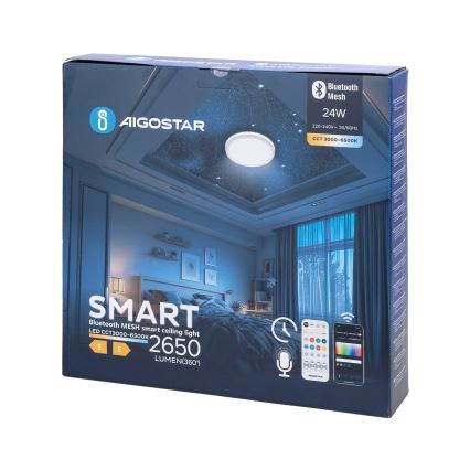 Aigostar - LED pritemdomas lubinis vonios šviestuvas MESH Išmanus LED/24W/230V 3000-6500K IP44 + nuotolinio valdymo pultas