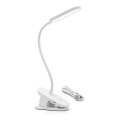 Aigostar - LED Pritemdomas įkraunamas stalinis šviestuvas su segtuku LED/2,5W/5V 1200mAh balta