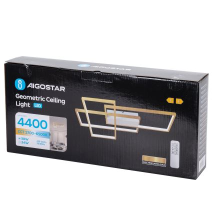 Aigostar - LED Pritemdomas lubinis šviestuvas LED/38W/230V 2700-6500K + nuotolinio valdymo pultas