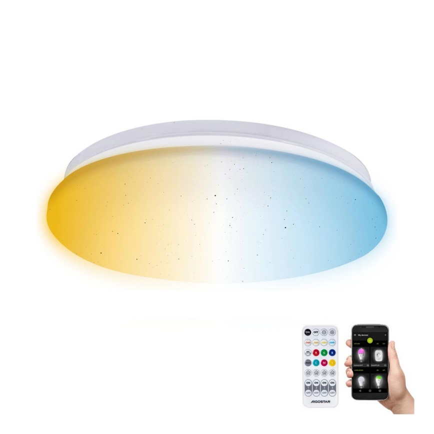 Aigostar - LED pritemdomas lubinis vonios šviestuvas MESH Išmanus LED/12W/230V 3000-6500K IP44 + nuotolinio valdymo pultas