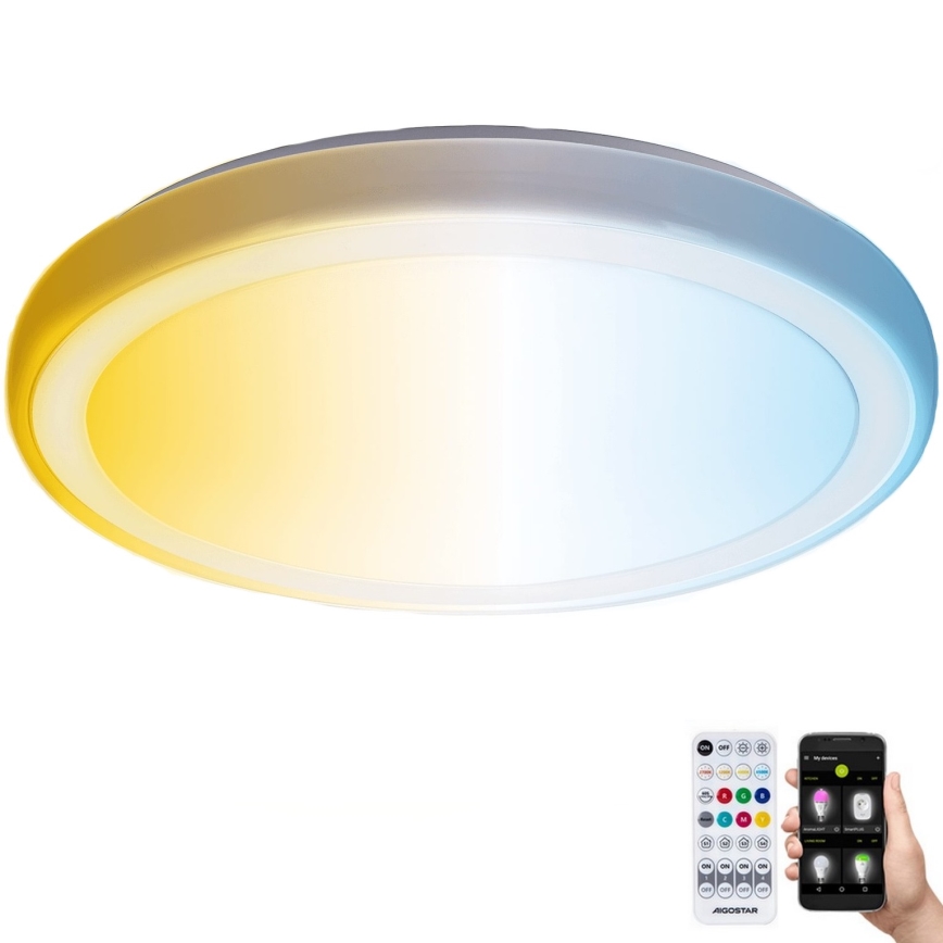 Aigostar - LED pritemdomas lubinis vonios šviestuvas MESH Išmanus LED/24W/230V 3000-6500K IP44 + nuotolinio valdymo pultas