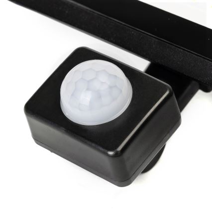 Aigostar - LED prožektorius su judesio jutikliu LED/30W/230V 6500K IP65
