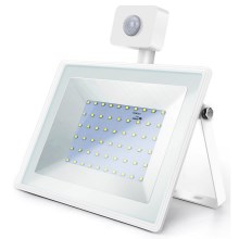 Aigostar - LED Prožektorius su jutikliu LED/50W/230V 6400K IP65 baltas