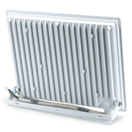 Aigostar - LED reflektorius LED/100W/230V 4000 IP65