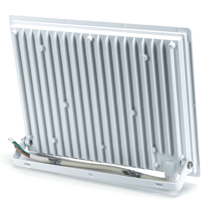 Aigostar - LED reflektorius LED/100W/230V 4000 IP65
