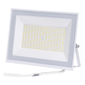 Aigostar - LED Reflektorius LED/100W/230V 6500K IP65