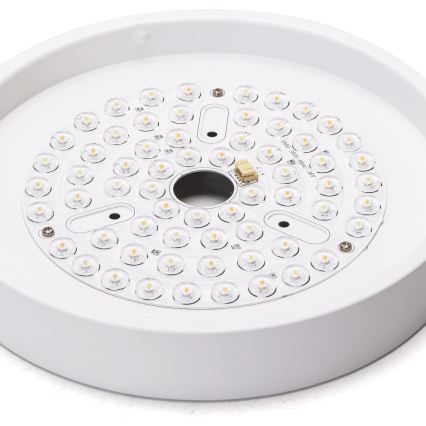 Aigostar - LED Reguliuojamas lubinis ventiliatorius LED/24W/230V 2700-6500K diametras 165 cm + nuotolinio valdymo pultas balta