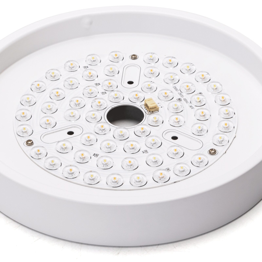 Aigostar - LED Reguliuojamas lubinis ventiliatorius LED/24W/230V 2700-6500K diametras 165 cm + nuotolinio valdymo pultas balta