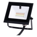 Aigostar - LED RGB dimeriuojamas prožektorius LED/20W/230V IP65 + nuotolinis pultas
