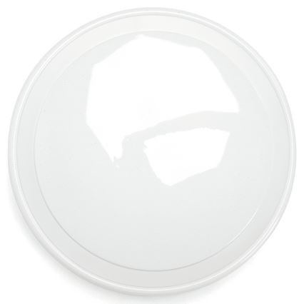 Aigostar - LED RGBW Pritemdomas sieninis vonios šviestuvas MESH Išmanus LED/24W/230V 3000-6500K IP44 + nuotolinio valdymo pultas