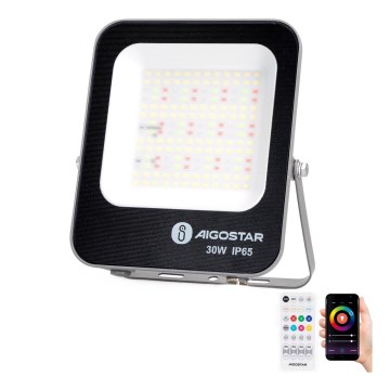 Aigostar - LED RGBW Pritemdomas prožektorius MESH Išmanus LED/30W/230V 6500K IP65 + nuotolinio valdymo pultas