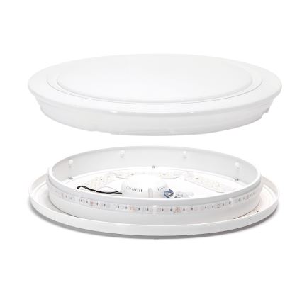 Aigostar - LED RGBW Pritemdomas vonios šviestuvas LED/27W/230V 40 cm Wi-Fi IP44