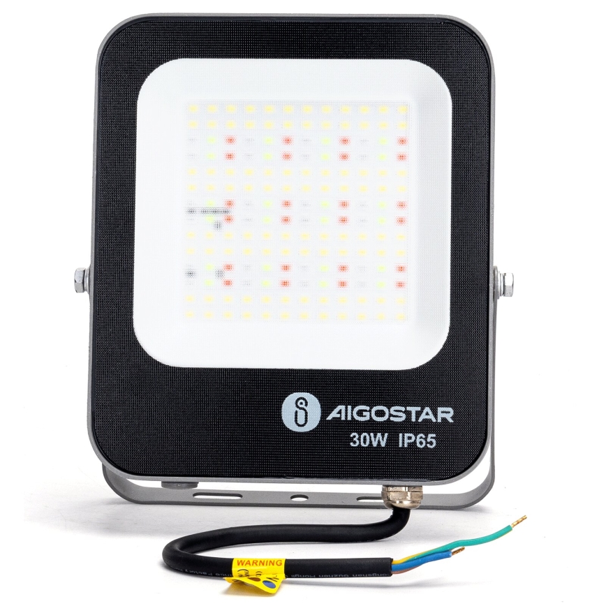 Aigostar - LED RGBW Pritemdomas prožektorius MESH Išmanus LED/30W/230V 6500K IP65 + nuotolinio valdymo pultas