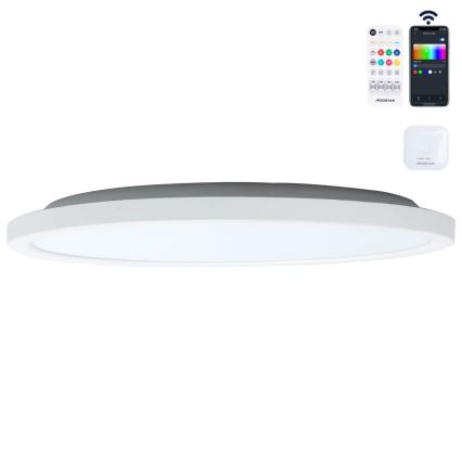 Aigostar - LED RGBW Reguliuojamas lubinis šviestuvas MESH LED/24W/230V 3000-6500K balta + nuotolinio valdymo pultas