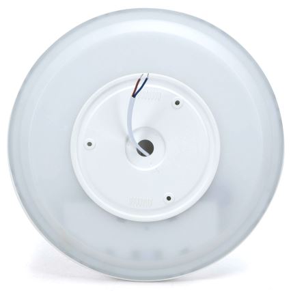 Aigostar - LED RGBW Reguliuojamas lubinis šviestuvas MESH LED/24W/230V 3000-6500K balta + nuotolinio valdymo pultas